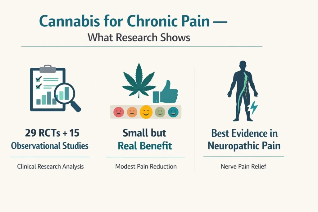 cannabis chronic pain research AHRQ systematic review infographic