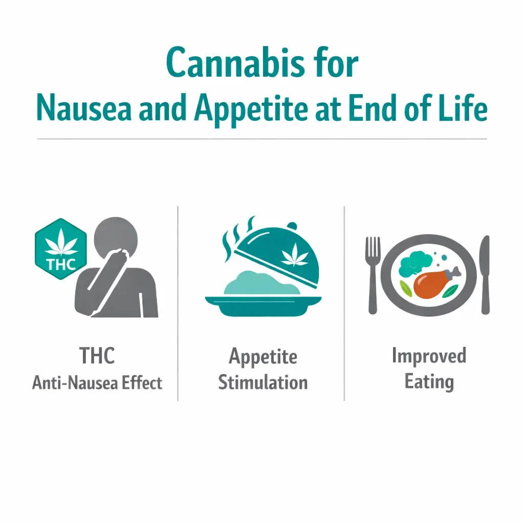 cannabis nausea appetite stimulation THC end of life infographic