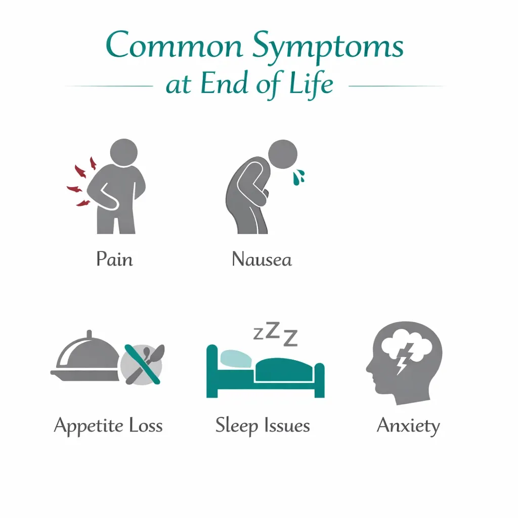 end of life symptoms pain nausea appetite sleep anxiety infographic