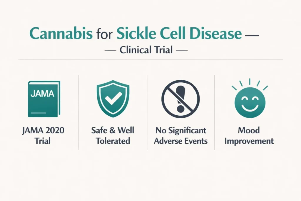 cannabis sickle cell disease JAMA trial safety mood improvement infographic