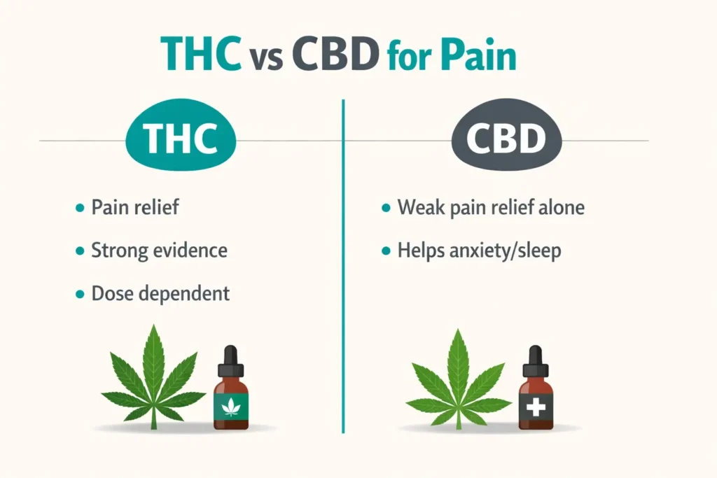 THC vs CBD pain relief comparison cannabis infographic