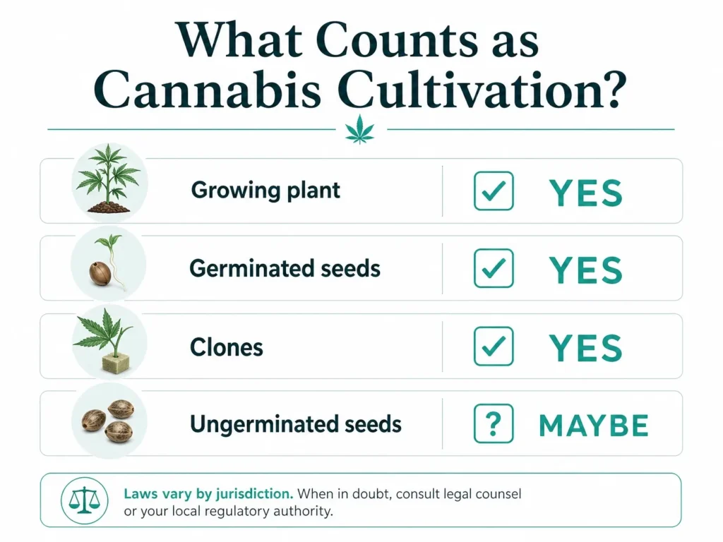 what counts as marijuana cultivation infographic