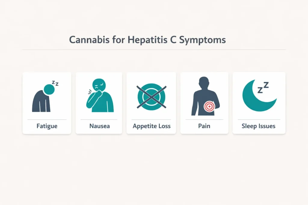 cannabis hepatitis C symptom relief fatigue nausea appetite pain infographic