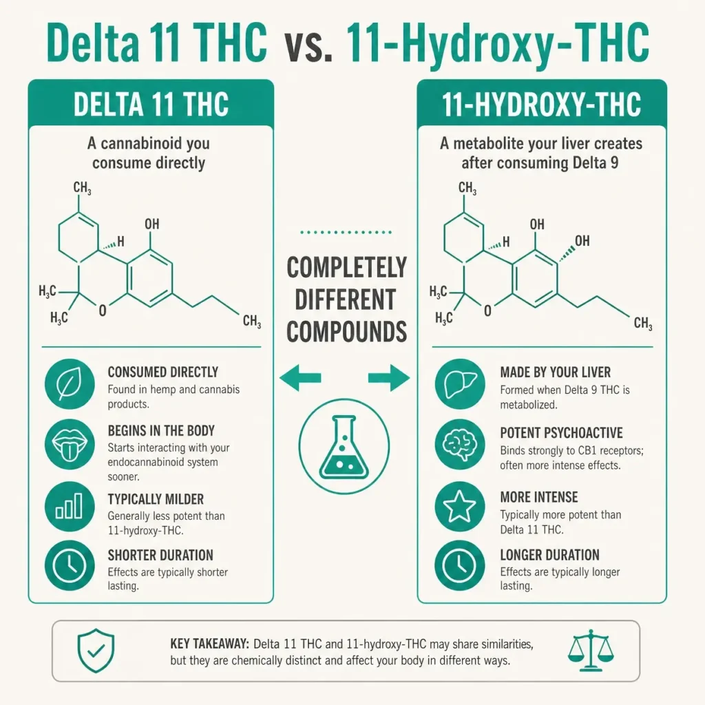 delta 11 thc vs 11 hydroxy thc comparison infographic