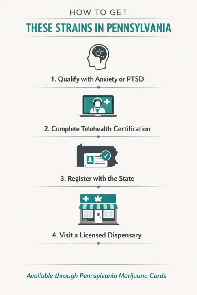 how to get medical marijuana for anxiety or ptsd in pennsylvania infographic