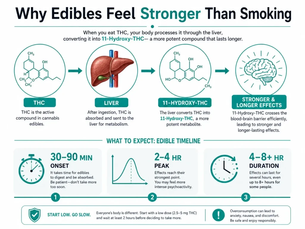 why edibles feel stronger than inhaled cannabis infographic