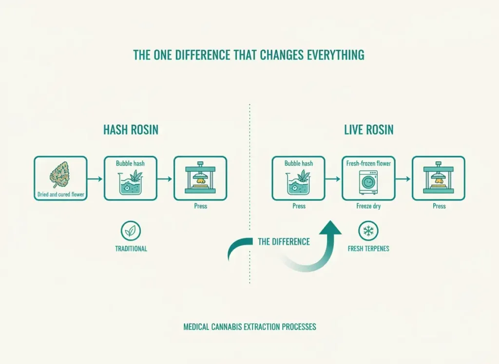 dried cured vs fresh frozen cannabis rosin process infographic