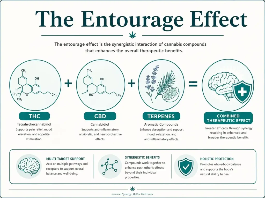 entourage effect thc cbd and terpenes infographic