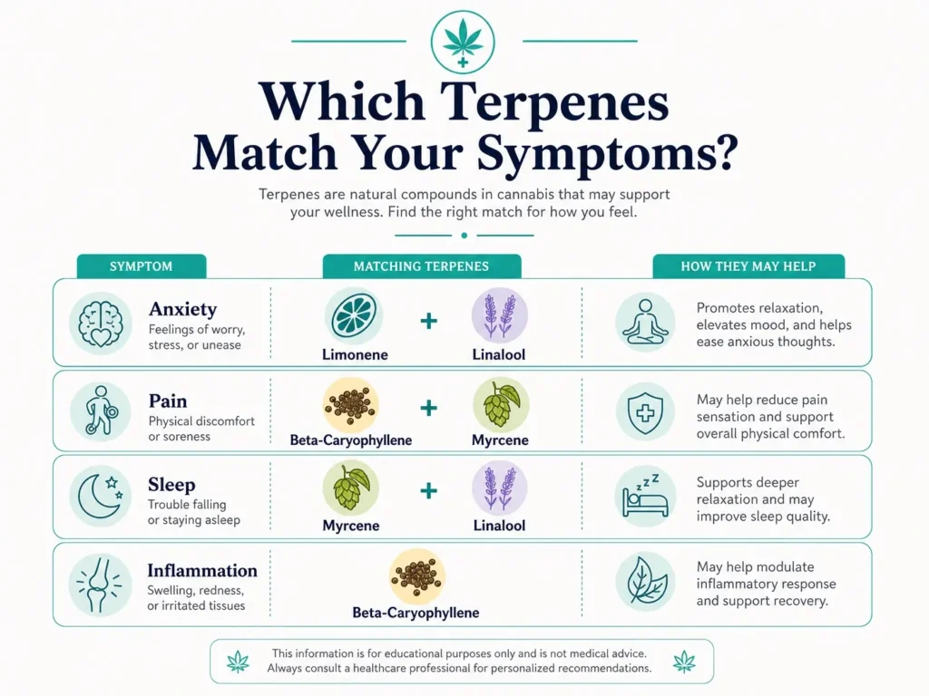 best terpenes by condition infographic for PA patients