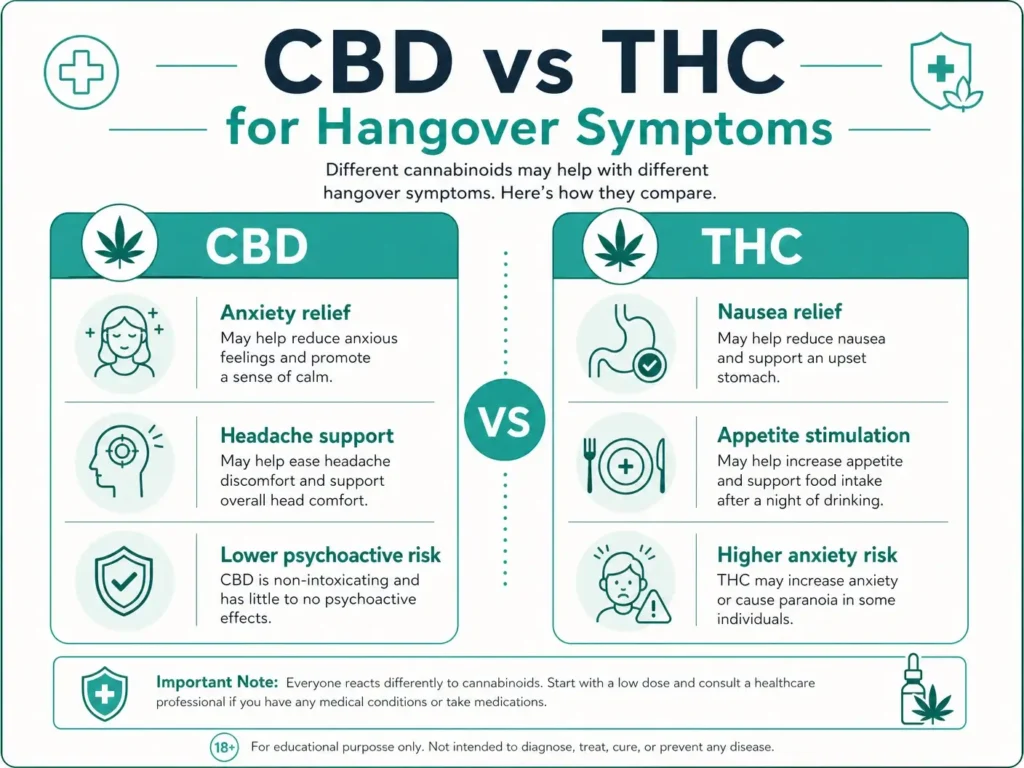 cbd vs thc for hangover symptom relief infographic