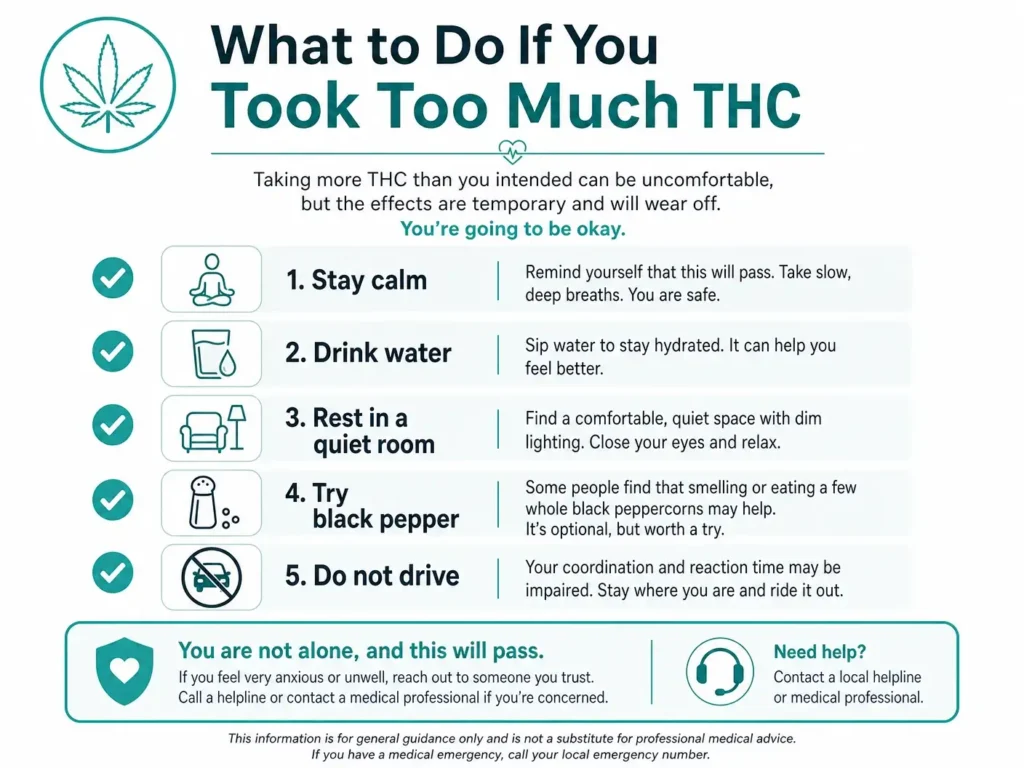 what to do if you took too much thc infographic