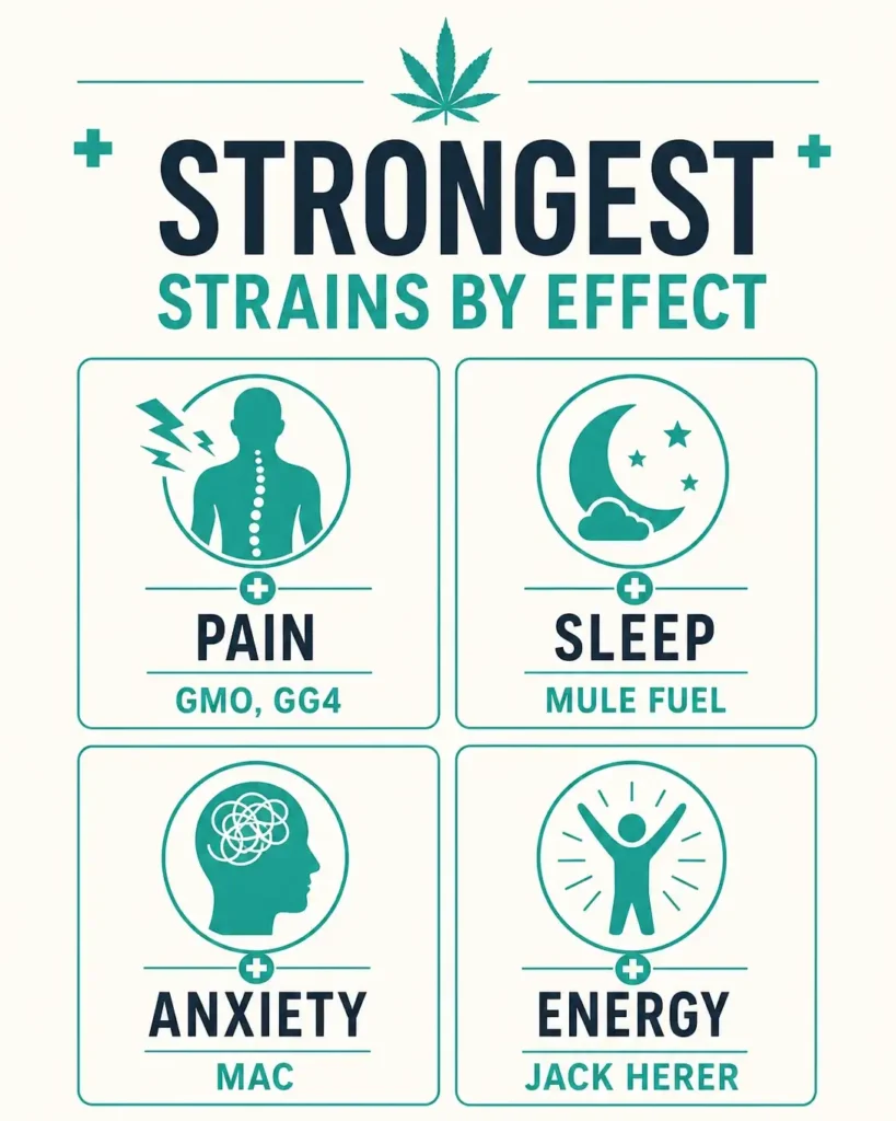 best strains by condition Pennsylvania infographic