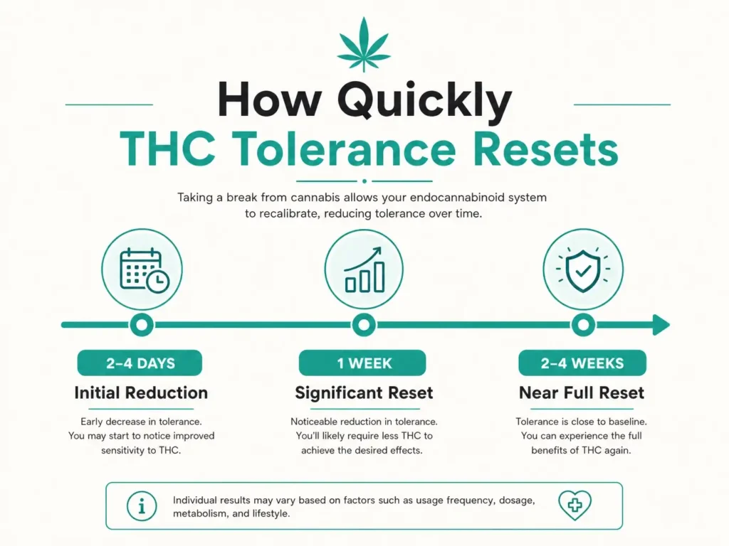thc tolerance reset timeline infographic