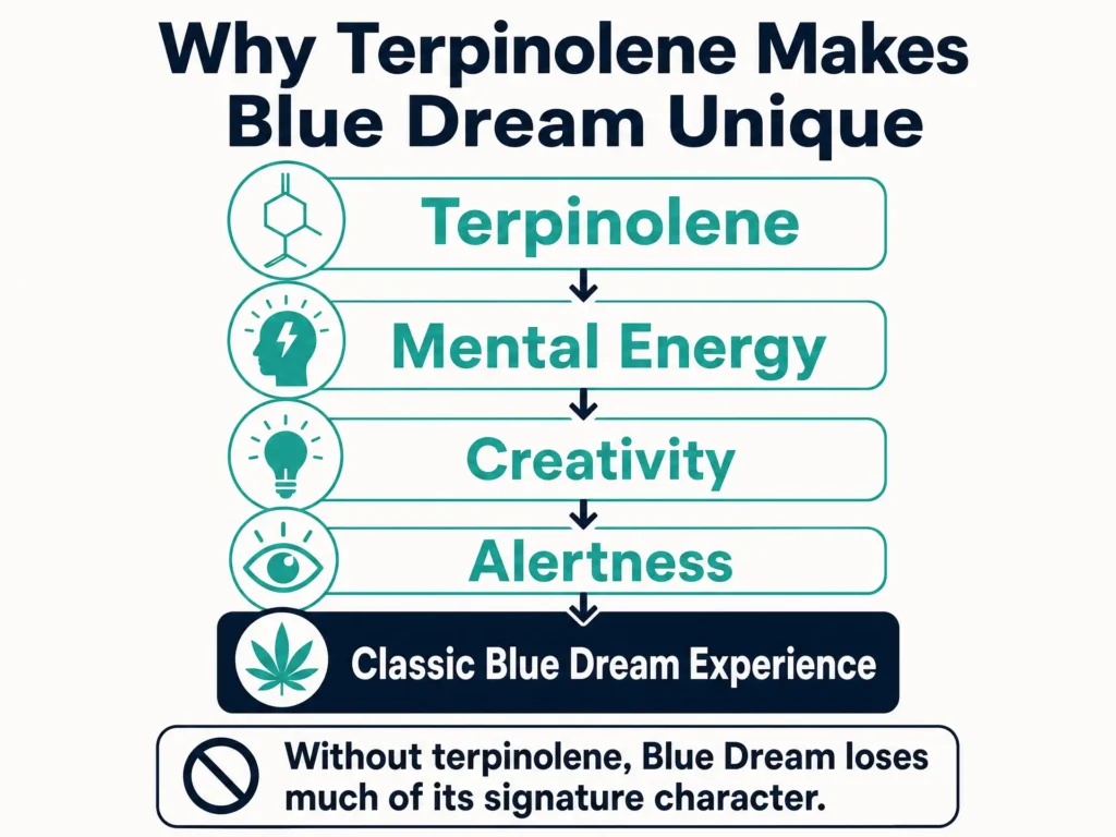 terpinolene in Blue Dream infographic