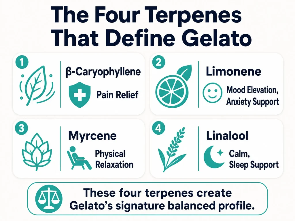 Gelato terpene profile infographic