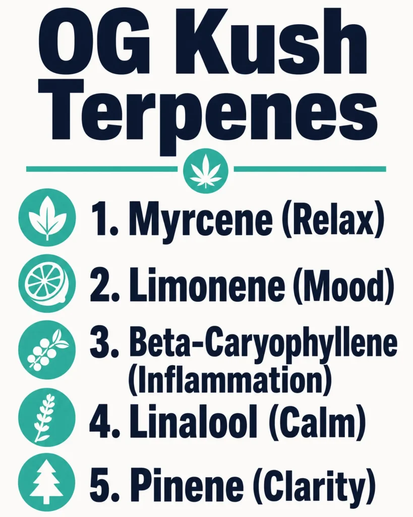 OG Kush terpene profile infographic