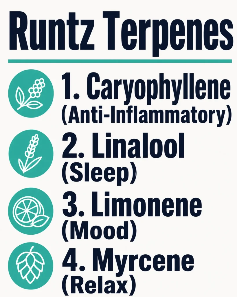 Runtz terpene profile infographic