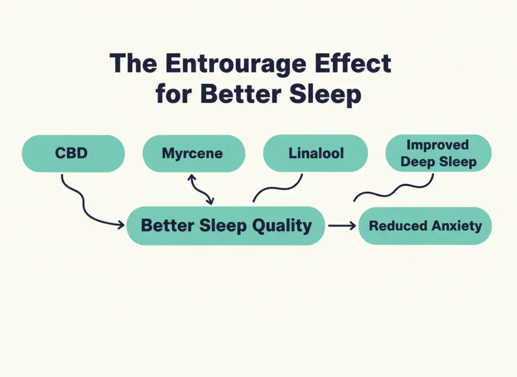 entourage effect for sleep infographic