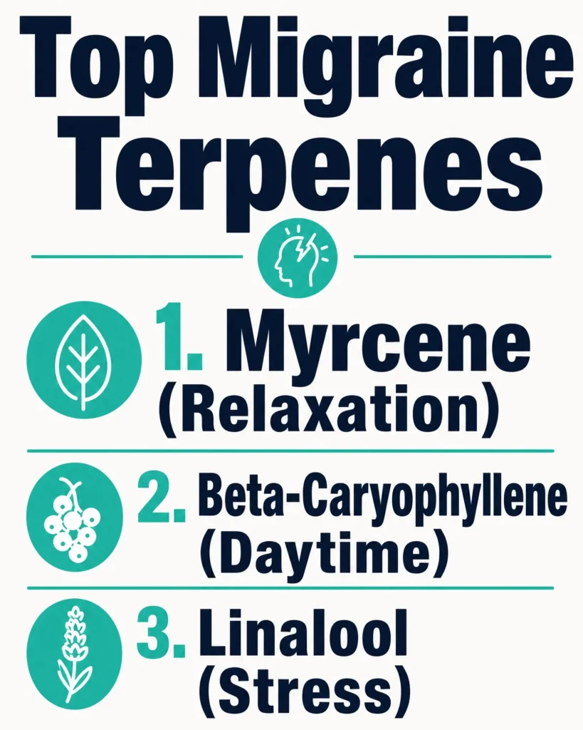 best cannabis terpenes for migraines infographic