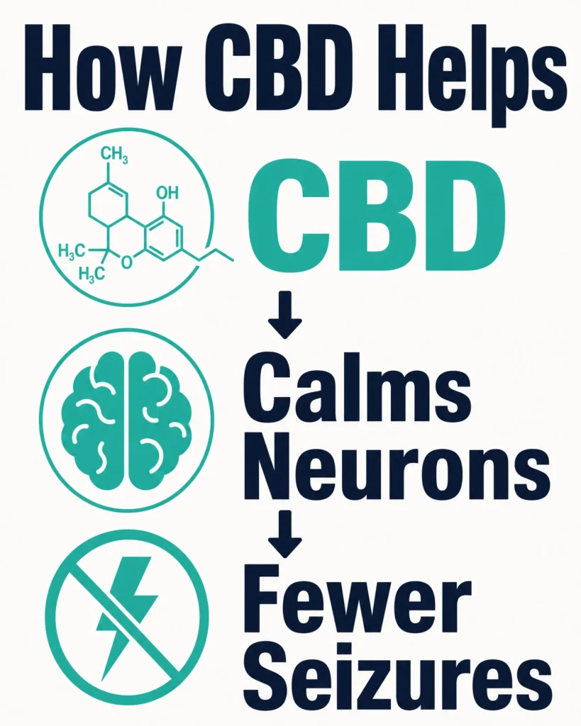 how CBD reduces seizures infographic