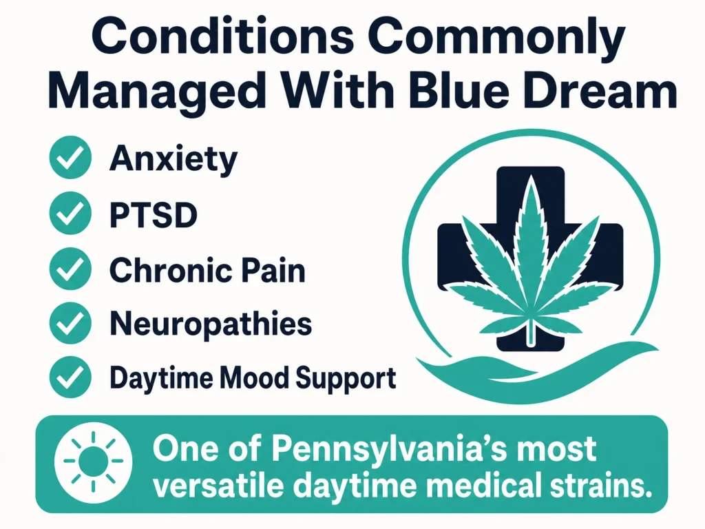 medical uses of Blue Dream strain infographic