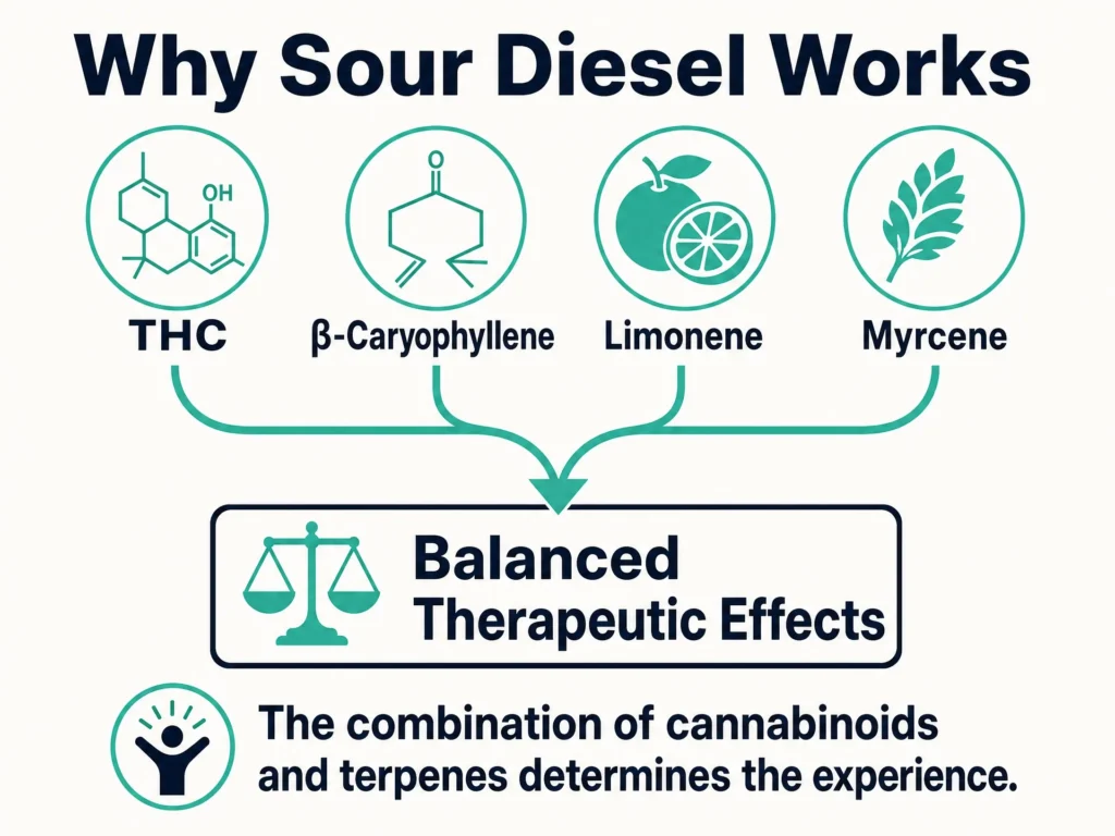 Sour Diesel entourage effect infographic