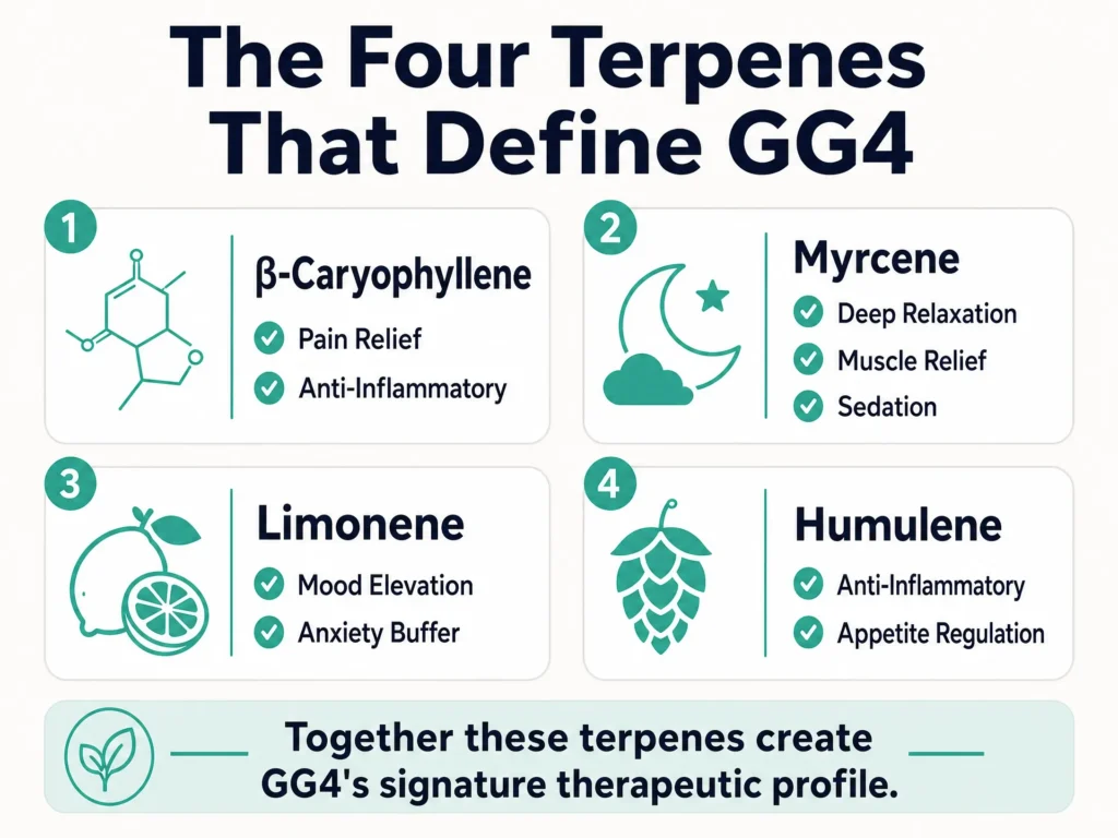 GG4 terpene profile infographic