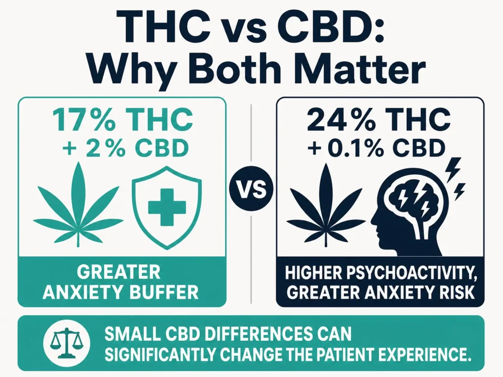 Blue Dream THC vs CBD comparison infographic