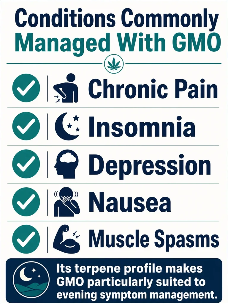 medical uses of GMO strain infographic