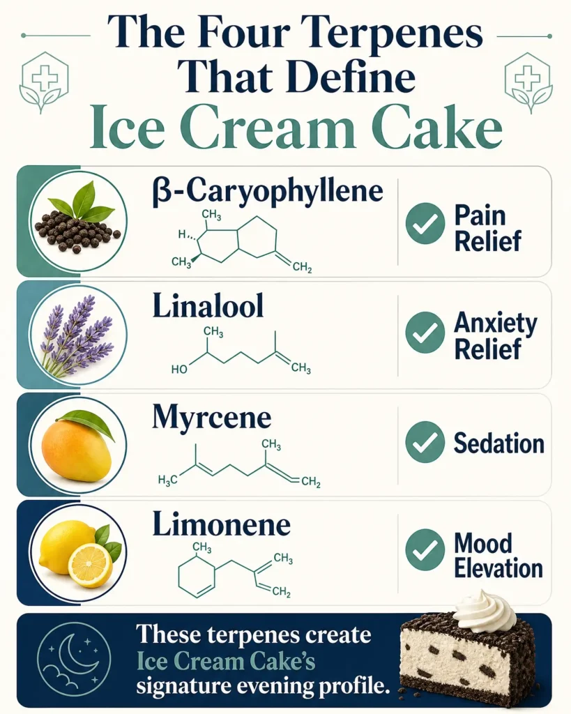 Ice Cream Cake terpene profile infographic