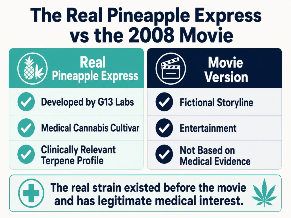 Pineapple Express real strain vs movie infographic