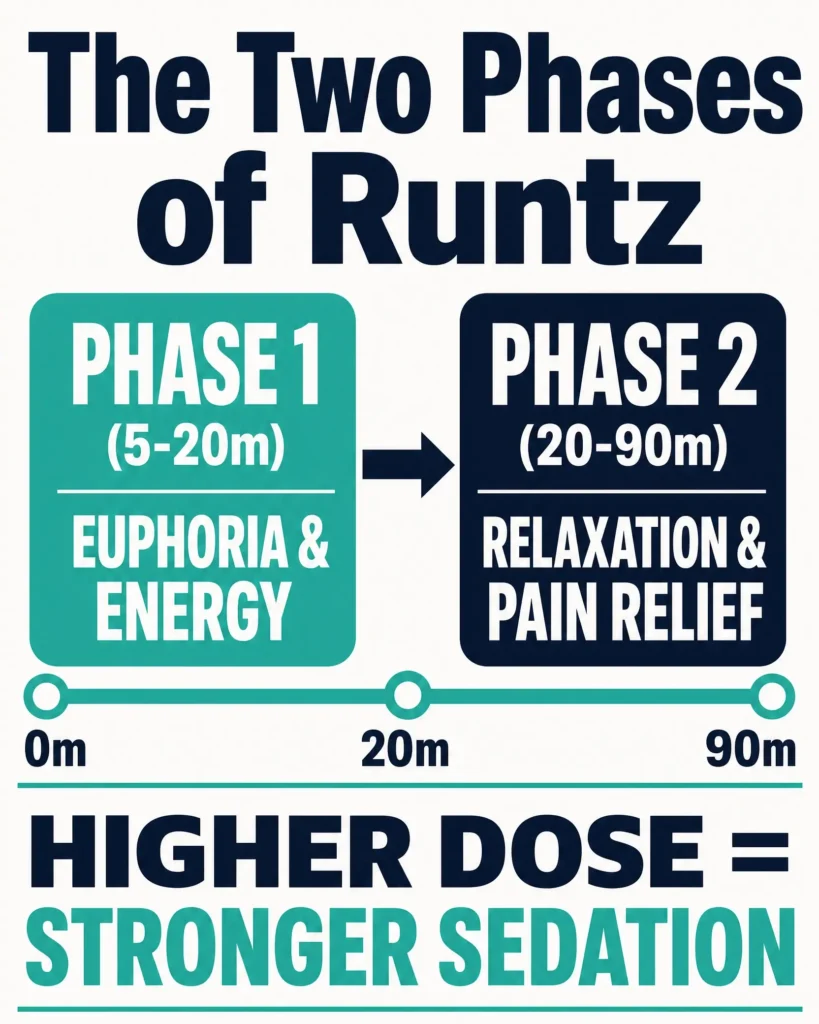 Runtz two phase effects timeline infographic