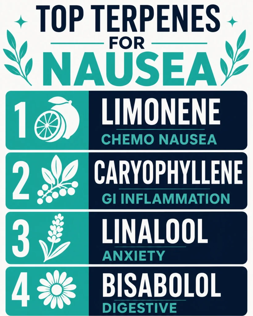best cannabis terpenes for nausea infographic