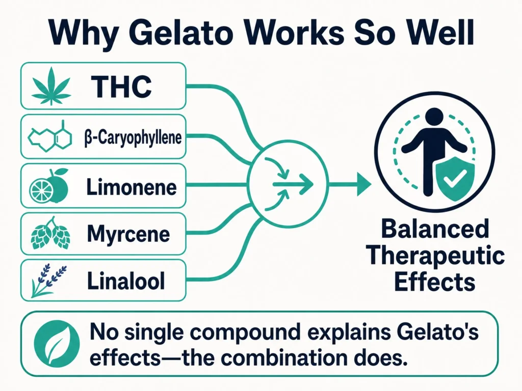 Gelato entourage effect infographic