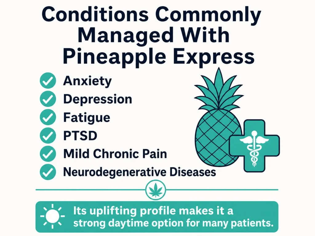 medical uses of Pineapple Express strain infographic