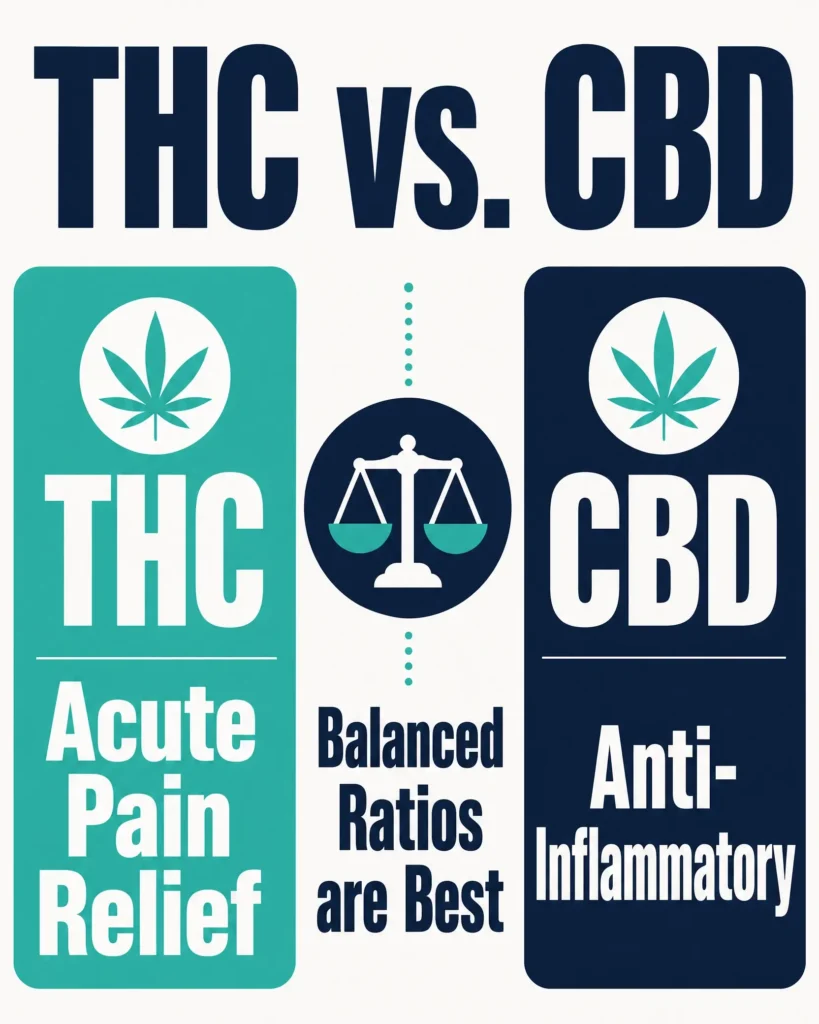 THC vs CBD for migraine relief infographic