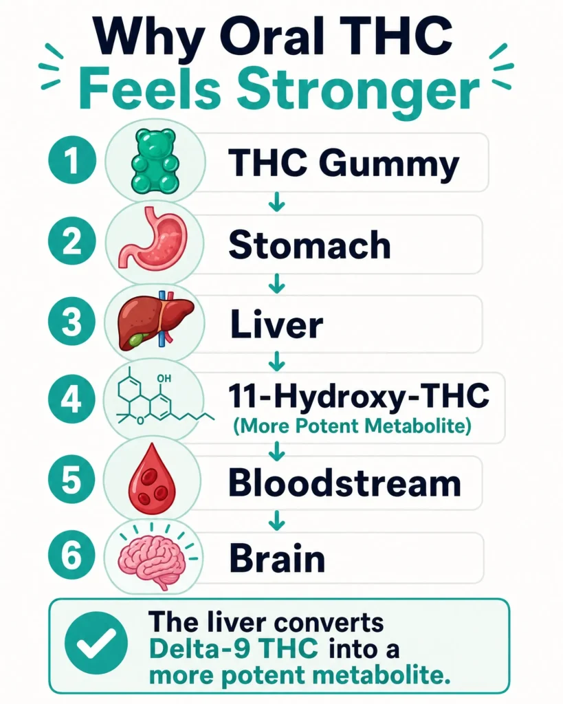 first-pass metabolism of oral THC infographic