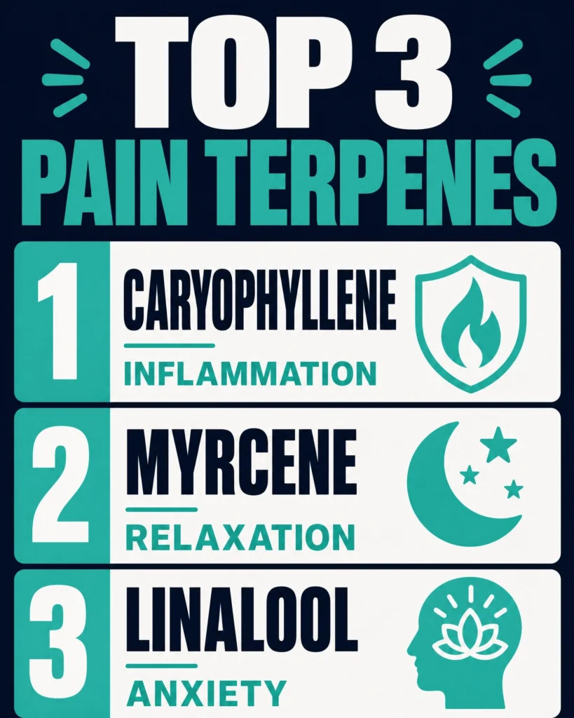 best cannabis terpenes for pain infographic