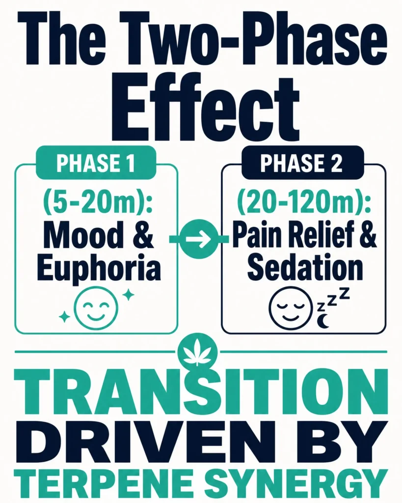 Permanent Marker two phase effects infographic