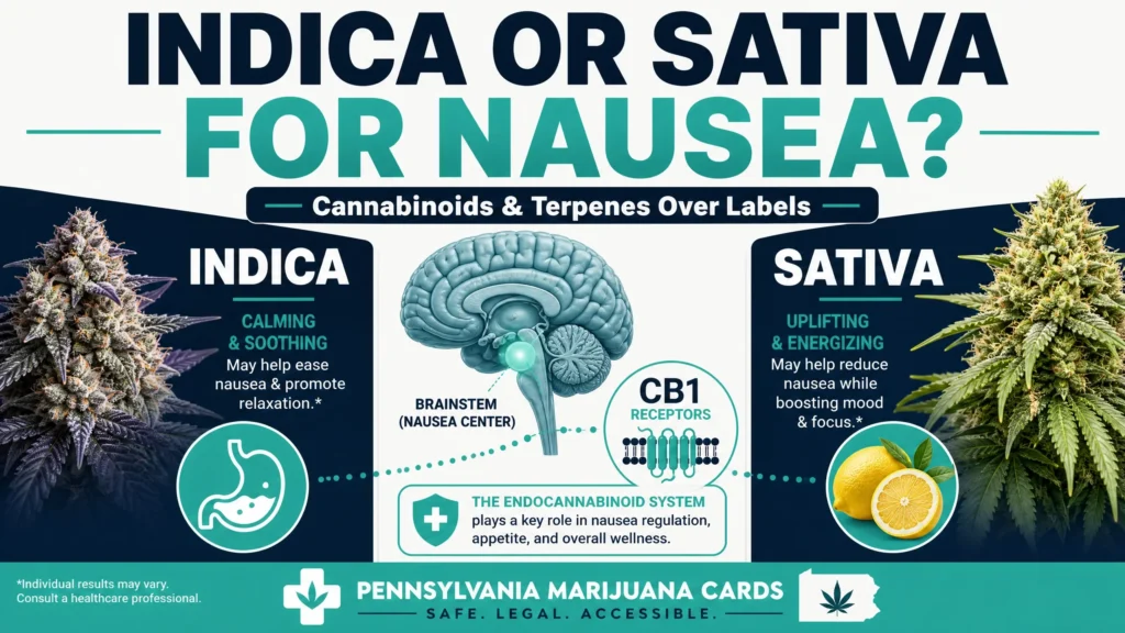 indica vs sativa for nausea infographic